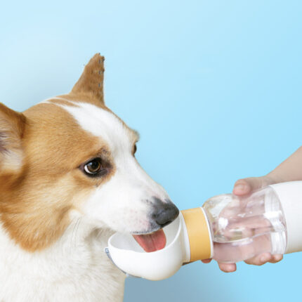 Portable Walking Dog Drinking Water Pet Supplies